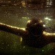 Illustration for article titled Shooting Challenge: The Subaquatic